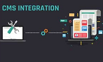 CMS Integration